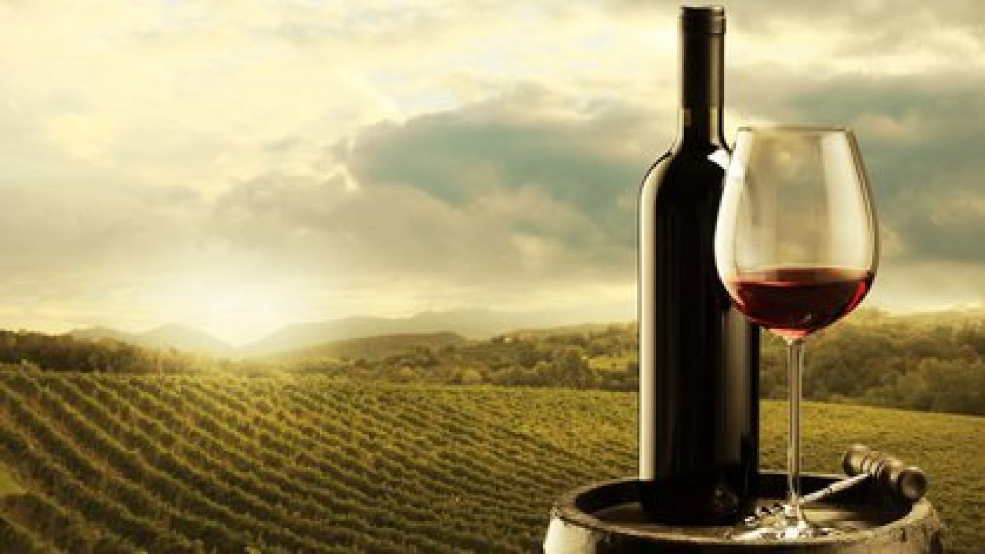 El particular estudio científico que demuestra algo que pocos sabian del Malbec Argentino